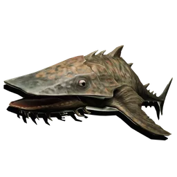 Shovelnose fish render from Dreadmoor